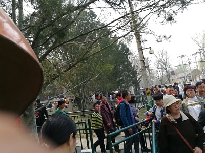 客流计数器大概多少钱,客流量设备计算